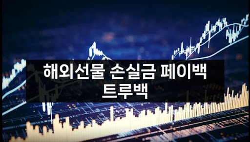 해외선물미니업체 트루백으로 더 나은 투자 경험 만들기