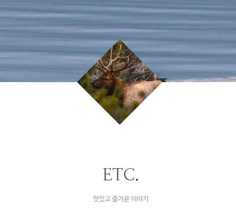 태상의 미니샵 바로가기로 시작하는 일상형 라이프스타일